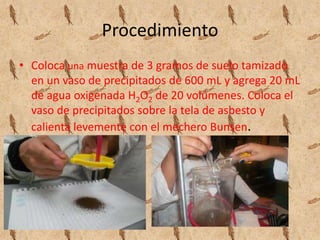Procedimiento
• Coloca una muestra de 3 gramos de suelo tamizado
  en un vaso de precipitados de 600 mL y agrega 20 mL
  de agua oxigenada H2O2 de 20 volúmenes. Coloca el
  vaso de precipitados sobre la tela de asbesto y
  calienta levemente con el mechero Bunsen.
 