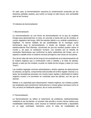 En este caso, la biorremediación soluciona la contaminación producida por los
desechos (pañales usados), que nutren un hongo no sólo inocuo, sino comestible
para el ser humano.



10 métodos de biorremediación



1. Micorremediación

La micorremediación es una forma de biorremediación en la que se emplean
hongos para descontaminar un área, en concreto a través del uso de micelios, el
cuerpo vegetativo del hongo, difícil de estudiar debido a su carácter subterráneo y
fragilidad. Ya hemos hablado de las posibilidades de la micología como
herramienta para la biorremediación, a través de trabajos como el del
estadounidense Paul Stamets, convencido de que los micelios pueden salvar el
mundo y, de paso, la civilización humana. Los micelios son la maraña de
conductos filamentosos que conforman la parte subterránea del hongo, con un
aspecto a caballo entre un sistema nervioso primigenio y las raíces de una planta.

Uno de los roles del reino de los fungi en los ecosistemas es la descomposición de
la materia orgániza que a continuación nutre a árboles y el resto de plantas,
llevado a cabo por los micelios, la parte no visible de los hongos y setas (un mero
"fruto").

Los micelios segregan encimas extracelulares y ácidos capaces de descomponer
la celulosa y la lignina, componentes estructurales de la fibra vegetal. Gracias a su
tarea, los ecosistemas procesan con mucha mayor rapidez y efectividad la materia
orgánica muerte y la convierten en nutrientes para las plantas, con las que se
asocian.

Debido a su capacidad para descomponer materia orgánica, los micelios pueden
ser empleados para transformar hidrocarburos e incluso gases nerviosos (como el
VX y el sarín) en fertilizante orgánico, de un modo económico.



2. Fitorremediación

La fitorremediación se refiere al tratamiento de problemas medioambientales
mediante el uso de plantas, un proceso más sencillo y mucho menos costoso que
modalidades tradicionales, como excavar el material contaminante y depositarlo
en un lugar controlado. Asimismo, como el resto de modalidades de
 