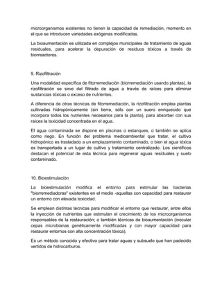 microorganismos existentes no tienen la capacidad de remediación, momento en
el que se introducen variedades exógenas modificadas.

La bioaumentación es utilizada en complejos municipales de tratamiento de aguas
residuales, para acelerar la depuración de residuos tóxicos a través de
biorreactores.



9. Rizofiltración

Una modalidad específica de fitorremediación (biorremediación usando plantas), la
rizofiltración se sirve del filtrado de agua a través de raíces para eliminar
sustancias tóxicas o exceso de nutrientes.

A diferencia de otras técnicas de fitorremediación, la rizofiltración emplea plantas
cultivadas hidropónicamente (sin tierra, sólo con un suero enriquecido que
incorpora todos los nutrientes necesarios para la planta), para absorber con sus
raíces la toxicidad concentrada en el agua.

El agua contaminada se dispone en piscinas o estanques, o también se aplica
como riego. En función del problema medioambiental que tratar, el cultivo
hidropónico es trasladado a un emplazamiento contaminado, o bien el agua tóxica
es transportada a un lugar de cultivo y tratamiento centralizado. Los científicos
destacan el potencial de esta técnica para regenerar aguas residuales y suelo
contaminado.



10. Bioestimulación

La bioestimulación modifica el entorno para estimular las bacterias
"biorremediadoras" existentes en el medio -aquellas con capacidad para restaurar
un entorno con elevada toxicidad.

Se emplean distintas técnicas para modificar el entorno que restaurar, entre ellos
la inyección de nutrientes que estimulan el crecimiento de los microorganismos
responsables de la restauración; o también técnicas de bioaumentación (inocular
cepas microbianas genéticamente modificadas y con mayor capacidad para
restaurar entornos con alta concentración tóxica).

Es un método conocido y efectivo para tratar aguas y subsuelo que han padecido
vertidos de hidrocarburos.
 