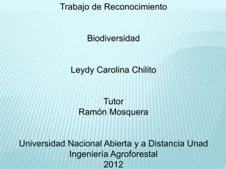 Trabajo de Reconocimiento


                Biodiversidad


            Leydy Carolina Chilito


                  Tutor
              Ramón Mosquera


Universidad Nacional Abierta y a Distancia Unad
            Ingeniería Agroforestal
                     2012
 