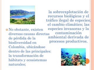 la sobreexplotación de
                         recursos biológicos y el
                        tráfico ilegal de especies;
                         el cambio climático; las
 No obstante, existen   especies invasoras y la
  diversas causas directas    contaminación
  de pérdida de la       ambiental derivada de
  biodiversidad en         procesos productivos.
 Colombia, ubicándose
 dentro de las principales:
 la transformación de
 hábitats y ecosistemas
 naturales;
 