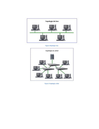 Figura 3topologia bus
Figura 4 topologia arbol
 