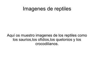 Imagenes de reptiles Aquí os muestro imagenes de los reptiles como los saurios,los ofidios,los quelonios y los crocodilianos. 