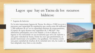 Lagos que hay en Tacna de los recursos
hídricos:
• Laguna de laricota:
Es la más importante laguna de Tacna. Se ubica a 2 800 m.s.n.m y
presenta una capacidad de regulación que oscila entre 80 millones
y 280 millones de m3 en su capacidad máxima de represamiento,
el espejo de agua alcanza una superficie de 1 440 km2. Sus
tributarios principales son el río Salado y el río Callazas. La
laguna se ha convertido en un ecosistema que sirve de soporte a
una gran variedad de fauna. Entre las aves que predominan, se
puede mencionar a los patillos y las guallatas. Así mismo, existe
una gran cantidad de truchas de la variedad arco iris, las cuales se
han adaptado muy bien a este medio.
 