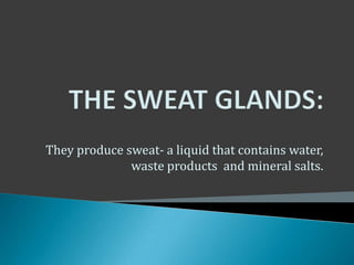 They produce sweat- a liquid that contains water,
              waste products and mineral salts.
 