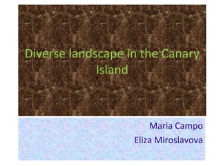 Diverse landscape in the Canary
             Island



                       Maria Campo
                   Eliza Miroslavova
 