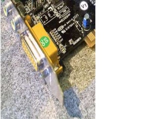 Trabajo de sena segundo periodo