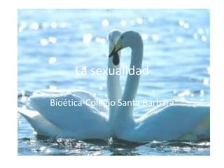 La sexualidad Bioética-Colegio Santa Bárbara 