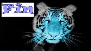 Trabajo de sistemas Angelo