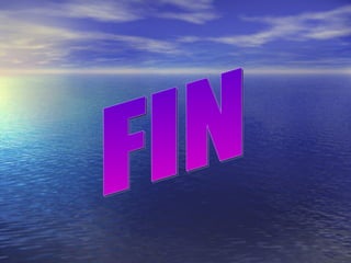 FIN 