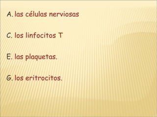 las células nerviosas los linfocitos T las plaquetas. los eritrocitos. 