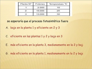 se esperaría que el proceso fotosintético fuera bajo en la planta 1 y eficiente en 2 y 3 eficiente en las plantas 1 y 2 y bajo en 3 más eficiente en la planta 3, medianamente en la 2 y bajo en la 1. más eficiente en la planta 1, medianamente en la 2 y bajo en la 3. 