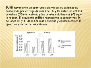 10 .El movimiento de apertura y cierre de los estomas es ocasionado por el flujo de iones de H+ y K+ entre las células oclusivas (CO) del estoma y las células epidérmicas (CE) que lo rodean. El siguiente gráfico representa la concentración de iones H+ y K+ de las células oclusivas y epidérmicas en la apertura y cierre de los estomas. 
