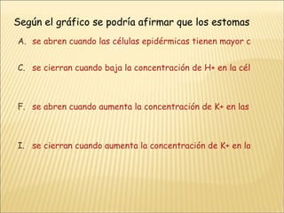Según el gráfico se podría afirmar que los estomas se abren cuando las células epidérmicas tienen mayor concentración de K+ que las célulasoclusivas. se cierran cuando baja la concentración de H+ en la células epidérmicas se abren cuando aumenta la concentración de K+ en las células oclusivas. se cierran cuando aumenta la concentración de K+ en las células oclusivas. 