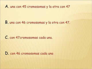 A .  una con 45 cromosomas y la otra con 47 B.   una con 46 cromosomas y la otra con 47. C.   con 47cromosomas cada una. D.  con 46 cromosomas cada una 