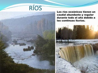 RÍOS   Los ríos oceánicos tienen un
       caudal abundante y regular
       durante todo el año debido a
       las continuas lluvias.
 