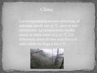 Las temperaturas no son extremas, el
máximo puede ser 35 °C, pero sí son
constantes. La temperatura media
anual se sitúa entre 25 y 27 °C. La
diferencia entre el mes más frío y el
más cálido no llega a los 2 °C
Clima
 