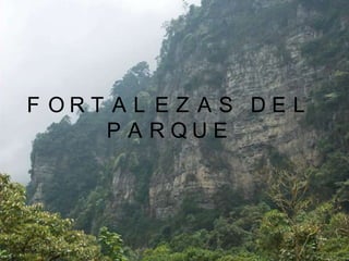 FORTALEZAS DEL PARQUELA FAUNA FLORADIVERCIDAD ECOLOGICAPRESERVACION HAMBIENTALFORMAS DE EDUCACIONTIPOS DE CLIMAS.