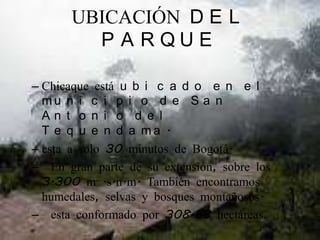 UBICACIÓN DEL PARQUEChicaque está ubicado en el municipio de San Antonio del Tequendama.esta a solo 30 minutos de Bogotá.  En gran parte de su extensión, sobre los 3.300 m .s.n.m. También encontramos humedales, selvas y bosques montañosos.  esta conformado por 308.88 hectáreas.