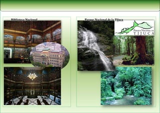 Biblioteca Nacional   Parque Nacional de la Tijuca
 