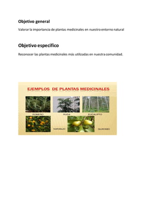 Objetivo general
Valorar la importancia de plantas medicinales en nuestro entorno natural
Objetivo especifico
Reconocer las plantas medicinales más utilizadas en nuestra comunidad.
 