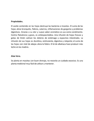 Propiedades.
El aceite contenido en las hojas destruye las bacterias e insectos. El zumo de las
hojas alivia bronquitis, fiebres, catarros, inflamaciones de garganta y problemas
digestivos. Gracias a su olor y suave sabor aromático se usa como condimento.
Contra flatulencia y gases, es antiespasmódica. Una infusión de hojas frescas y
gotas de limón calman los dolores de estómago y espasmos intestinales. La
infusión de sus hojas es diurética, estimulante, digestiva y relajante; el zumo de
las hojas con miel de abejas alivia la fiebre. El té de albahaca hace producir más
leche en las madres.
Aloe Vera.
Se planta en macetas con buen drenaje, no necesita un cuidado excesivo. Es una
planta medicinal muy fácil de utilizar y mantener.
 
