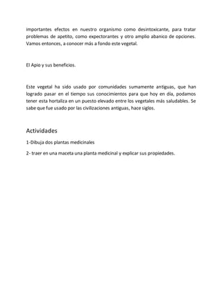 importantes efectos en nuestro organismo como desintoxicante, para tratar
problemas de apetito, como expectorantes y otro amplio abanico de opciones.
Vamos entonces, a conocer más a fondo este vegetal.
El Apio y sus beneficios.
Este vegetal ha sido usado por comunidades sumamente antiguas, que han
logrado pasar en el tiempo sus conocimientos para que hoy en día, podamos
tener esta hortaliza en un puesto elevado entre los vegetales más saludables. Se
sabe que fue usado por las civilizaciones antiguas, hace siglos.
Actividades
1-Dibuja dos plantas medicinales
2- traer en una maceta una planta medicinal y explicar sus propiedades.
 