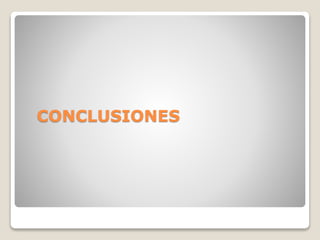 CONCLUSIONES
 