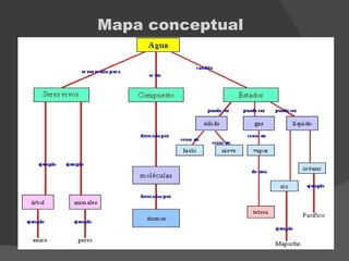 Mapa conceptual
 