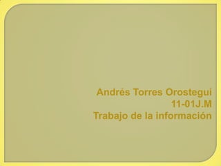 Andrés Torres Orostegui
                  11-01J.M
Trabajo de la información
 
