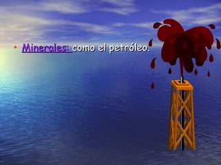 Minerales:  como el petróleo. 