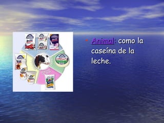 Animal :  como la caseína de la leche. 