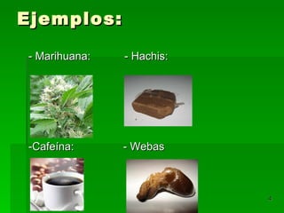Ejemplos: - Marihuana:  - Hachis:  -Cafeína:  - Webas  