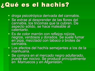 ¿Qué es el hachis? droga psicotrópica derivada del cannabis.  Se extrae al desprender de las flores del cannabis, los tricomas que la cubren. De aspecto sólido, se hace maleable al calentarlo. Es de color marrón con reflejos rojizos, negros, verdosos y dorados. Se suele fumar en pipa, mezclado con tabaco o brotes de cannabis. Los efectos del hachís semejantes a los de la marihuana. Se compra en el mercado negro adulterado, puede ser nocivo. Se produce principalmente en  Marruecos y en Afganistán. 