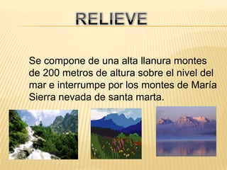 RELIEVESe compone de una alta llanura montes de 200 metros de altura sobre el nivel del mar e interrumpe por los montes de MaríaSierra nevada de santa marta.