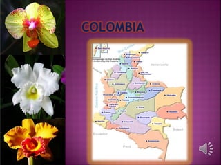 folclor de colombia