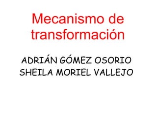 Mecanismo de
  transformación
ADRIÁN GÓMEZ OSORIO
SHEILA MORIEL VALLEJO
 