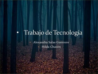•

Alexandra Salas Guerrero
• Hilda Chacón

 