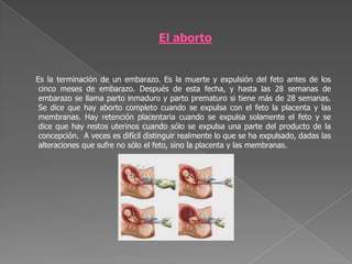 El abortoEs la terminación de un embarazo. Es la muerte y expulsión del feto antes de los cinco meses de embarazo. Después de esta fecha, y hasta las 28 semanas de embarazo se llama parto inmaduro y parto prematuro si tiene más de 28 semanas. Se dice que hay aborto completo cuando se expulsa con el feto la placenta y las membranas. Hay retención placentaria cuando se expulsa solamente el feto y se dice que hay restos uterinos cuando sólo se expulsa una parte del producto de la concepción.  A veces es difícil distinguir realmente lo que se ha expulsado, dadas las alteraciones que sufre no sólo el feto, sino la placenta y las membranas.