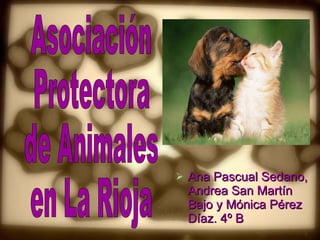 [object Object],Asociación Protectora de Animales en La Rioja 
