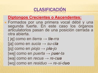CLASIFICACIÓNDiptongos Crecientes o Ascendentes:Formados por una primera vocal débil y una segunda fuerte. En este caso los órganos articulatorios pasan de una posición cerrada a otra abierta.	[ je̞] como en tierra -> tie-rra	[ja̠] como en sucia -> su-cia	[jo̞] como en piojo -> pio-jo	[we̞] como en puerta -> puer-ta	[wa̠] como en recua -> re-cua	[wo̞] como en residuo -> re-si-duo