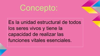 Concepto:
Es la unidad estructural de todos
los seres vivos y tiene la
capacidad de realizar las
funciones vitales esenciales.