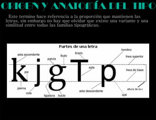 Este termino hace referencia a la proporción que mantienen las
letras, sin embargo no hay que olvidar que existe una variante y una
similitud entre todas las familias tipográﬁcas.
origen y anatomía del tipo
 
