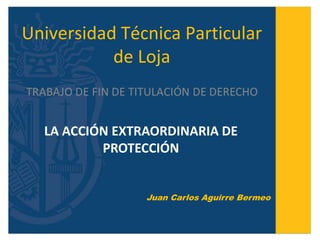 Universidad Técnica Particular
de Loja
LA ACCIÓN EXTRAORDINARIA DE
PROTECCIÓN
Juan Carlos Aguirre Bermeo
 