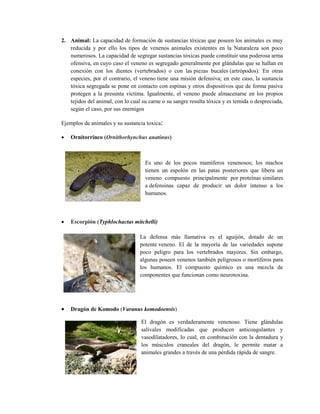 2. Animal: La capacidad de formación de sustancias tóxicas que poseen los animales es muy
reducida y por ello los tipos de venenos animales existentes en la Naturaleza son poco
numerosos. La capacidad de segregar sustancias tóxicas puede constituir una poderosa arma
ofensiva, en cuyo caso el veneno es segregado generalmente por glándulas que se hallan en
conexión con los dientes (vertebrados) o con las piezas bucales (artrópodos). En otras
especies, por el contrario, el veneno tiene una misión defensiva; en este caso, la sustancia
tóxica segregada se pone en contacto con espinas y otros dispositivos que de forma pasiva
protegen a la presunta víctima. Igualmente, el veneno puede almacenarse en los propios
tejidos del animal, con lo cual su carne o su sangre resulta tóxica y es temida o despreciada,
según el caso, por sus enemigos
Ejemplos de animales y su sustancia toxica:
 Ornitorrinco (Ornithorhynchus anatinus)
Es uno de los pocos mamíferos venenosos; los machos
tienen un espolón en las patas posteriores que libera un
veneno compuesto principalmente por proteínas similares
a defensinas capaz de producir un dolor intenso a los
humanos.
 Escorpión (Typhlochactas mitchelli)
La defensa más llamativa es el aguijón, dotado de un
potente veneno. El de la mayoría de las variedades supone
poco peligro para los vertebrados mayores. Sin embargo,
algunas poseen venenos también peligrosos o mortíferos para
los humanos. El compuesto químico es una mezcla de
componentes que funcionan como neurotoxina.
 Dragón de Komodo (Varanus komodoensis)
El dragón es verdaderamente venenoso. Tiene glándulas
salivales modificadas que producen anticoagulantes y
vasodilatadores, lo cual, en combinación con la dentadura y
los músculos craneales del dragón, le permite matar a
animales grandes a través de una pérdida rápida de sangre.
 