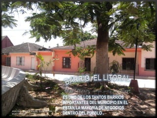  MISCELANIA MIS FANTASIA, 