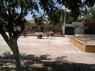 02/09/2011ANALISIS, IMAGEN VISUAL, ESTRUCTURA Y MORFOLOGIA35BARRIO  EL LITORALES UNO DE LOS TANTOS BARRIOS IMPORTANTES DEL MUNICIPIO EN EL ESTAN LA MAYORIA DE NEGOCIOS DENTRO DEL PUEBLO .