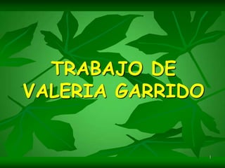 TRABAJO DE
VALERIA GARRIDO


                  1
 