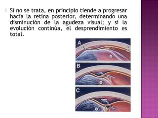  Si no se trata, en principio tiende a progresar
hacia la retina posterior, determinando una
disminución de la agudeza visual; y si la
evolución continúa, el desprendimiento es
total.
 