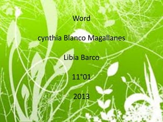 Word

cynthia Blanco Magallanes

       Libia Barco

         11°01

          2013
 
